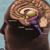 mindhackfiles4u