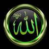 user8155251031073
