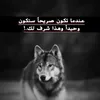 mutaz5937