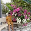 nguyenphuong46811gdhh