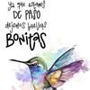 edithcisneros80