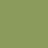 lightgreenbackpack