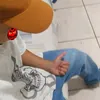 _dgzin_rl_