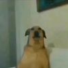 sebas012090
