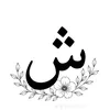 user646319654