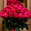 ..nazary.informat