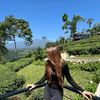 chumiang1