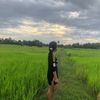 phea.fay.jing6