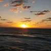 joudia.joud4