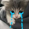 siapaya_gatau4