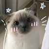 iza_shinvers