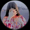 danshu355