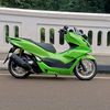 pcxsantuy179