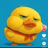 hoa.anh.o5850