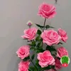 user91303617449340