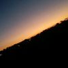 wd_dawn.sigma