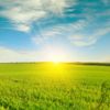 Farmland Charm Watcher