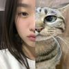 hlya_mip