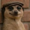 dis.user5