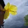 whokilledher700