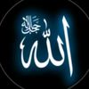 altalhayat6