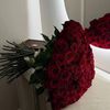 malak.mohammd77