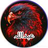 user53111329950372