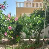 la_turca12