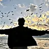 user8116061790513