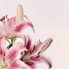 user1359441144021