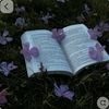 ameliakaramanda31