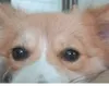 suok.k