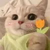 yjjht5
