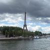 tamar.omid