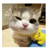 jas_mine2228