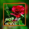 wed355366