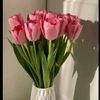 bayash50