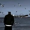 wl19890828