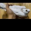 mostafaf_khaledd
