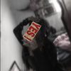 ammy6630