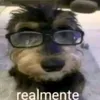 flopzinho4