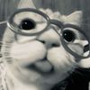 eshal.zehri