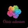 adenium