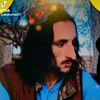 za_afridi6