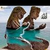 sadiya.jahan295