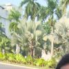 khairulamin_19