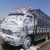 mhamad.alhaj7