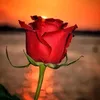 fatima.ezzahra.ed73