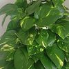 kalpesh.patel643