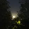 dw_ja7